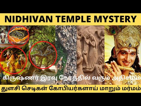 Nidhivan Temple Mystery | Raas Leela |கணுக்கால் சத்தம் கேட்கும் இடம்|தினமும் நடக்கும் கிருஷ்ண லீலை|