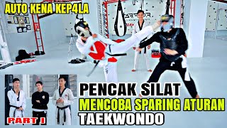 Download lagu Pesilat Sparing Aturan Taekwondo, Begini jadinya? mp3 Download lagu Pesilat Sparing Aturan Taekwondo, Begini jadinya? mp3