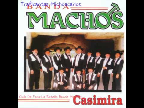 Banda Machos-  Traficantes Michoacanos