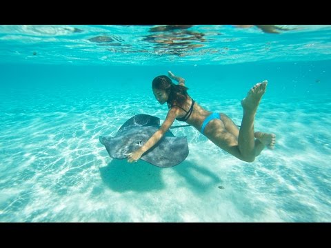 KALOEA Surfer Girls - Moorea, Stringrays & Sharks