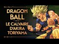 DRAGON BALL - LE CALVAIRE D'AKIRA TORIYAMA - PVR #12