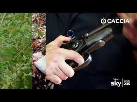 FUCILI DA COLLEZIONE