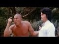 Incredible Kung Fu Mission
