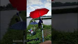 Download lagu Angel temen tuturamu mp3