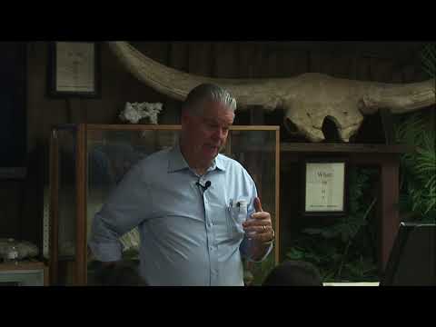 Was Archaeopteryx on the Ark?