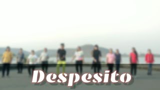 Download lagu Luis fonsi - Despacito ft.Daddy Yankee | Zumba | vijayalakshmi yadav | Cooldown | 2k22 mp3