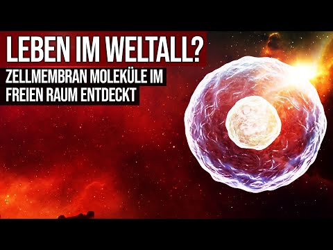 Life in space? - Cell membrane molecules discovered in free space