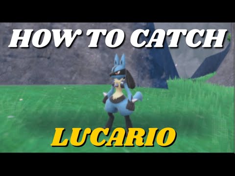HOW TO CATCH LUCARIO IN POKEMON SCARLET & VIOLET (LUCARIO LOCATION) (HOW TO GET LUCARIO)