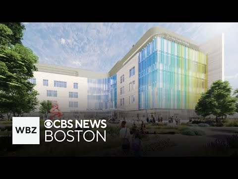 Rob and Karen Hale make historic $100M donation to Boston ...