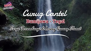 Download lagu The Hidden Beauty of Curug Cantel Bumijawa Tegal || A Popular Natural Tourism Destination in Tegal mp3 Download lagu The Hidden Beauty of Curug Cantel Bumijawa Tegal || A Popular Natural Tourism Destination in Tegal mp3