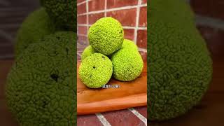 快來挑戰你的水果知識！ Test Your Fruit Knowledge! #神奇水果 #奇異果子 #水果知識 #ExoticFruits #RareFruit #FruitChallenge