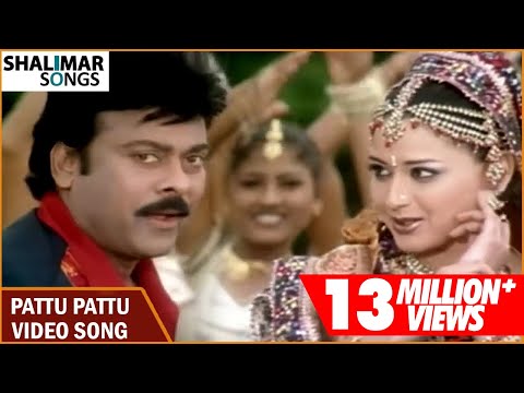 Shankar Dada M.B.B.S || Pattu Pattu Video Song || Chiranjeevi || Sonali Bendre || Devi Sri Prasad