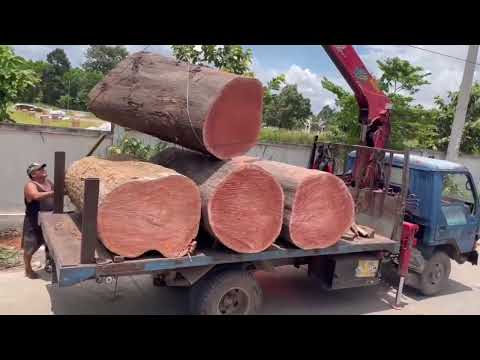 Tổng hợp MUA BÁN GỖ TRÒN NHẬP KHẨU DNTN Hữu Kỳ.