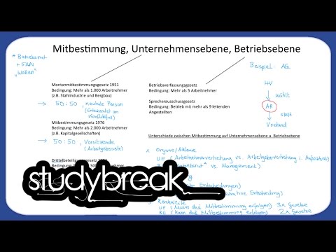 Mitbestimmung, Unternehmensebene, Betriebsebene | Unternehmensführung