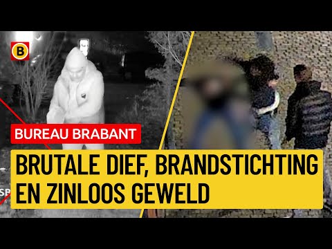 Zware mishandeling en brandstichter voordeur op beeld  | Bureau Brabant