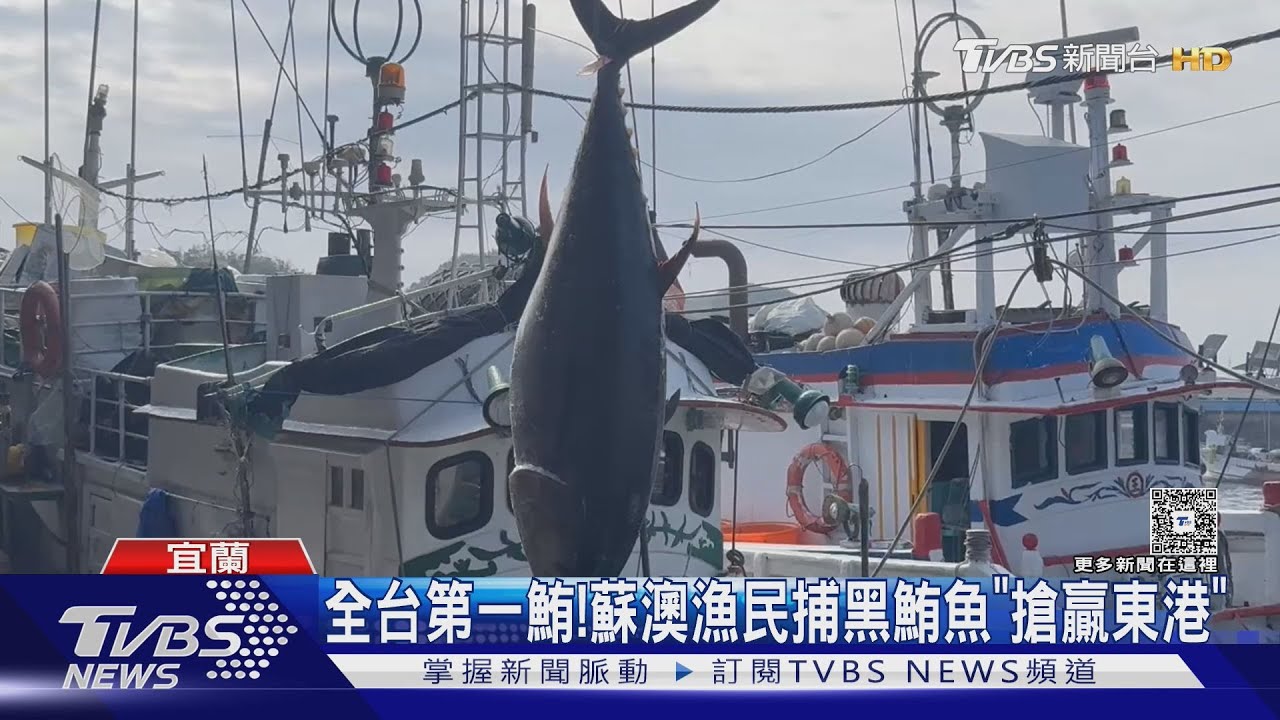 全台第一鮪! 蘇澳漁民捕黑鮪魚 「搶贏東港」