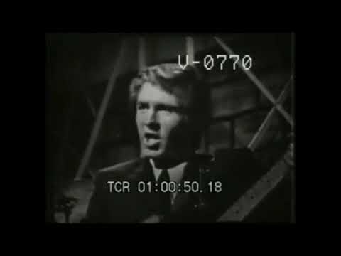Bobby Fuller Four - "Never To Be Forgotten" (1966) | HQ Audio