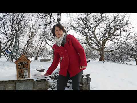 Vydání knížky Malý mnich