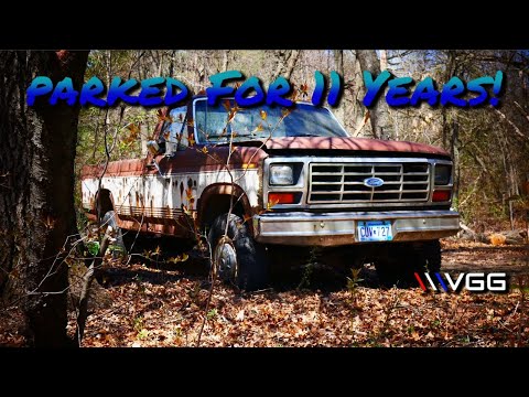 ABANDONED Tree Row Big Block Ford F250! Will it Run and Drive After 11 Years?