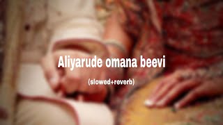 Aliyarude Omana Beevi(slowed+reverb)|vank|slowed