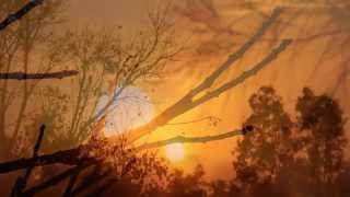 Les Ombres - Alphonse Mouzon (Οι σκιές - Αλφόνς Μουζόν)