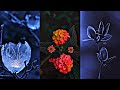 Mohabbat Barsa Dena Tu Sawan Aaya Aesthetic Status Sawan Aaya Hai Couple Status Lofi Status New