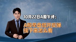 10月22日午评：A股早盘低开反弹，接下来怎么看？