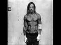 Iggy Pop & The Stooges - Gimme Danger