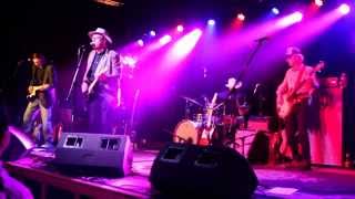 Webb Wilder's Album Release Party