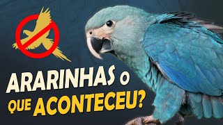Miniatura do vídeo
