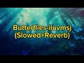 Butterflies-iluvmsj (Slowed+Reverb)