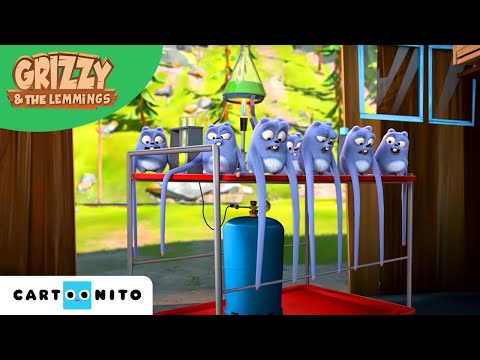 Grizzy und die Lemminge | Schwebende Lemminge | Cartoonito