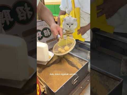 Kucing Diajak Beli Street Food, Tapi Reaksinya Kok Gini? 😂