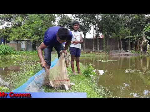 Most Satisfying Cast Net Fishing Method   Video Catch Tons of Fish   Traditional Net Catch Fishing o