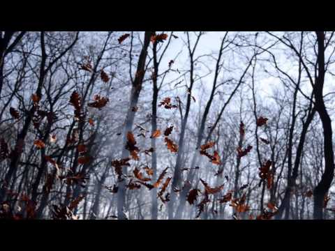Jiří Dědek Mucha - Jiří Dědek Mucha - Podzim