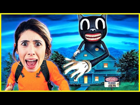 CARTOON CAT 5 DİLA KENT