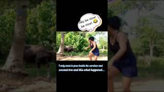 Download lagu ME AND OUR CARABAO mp3