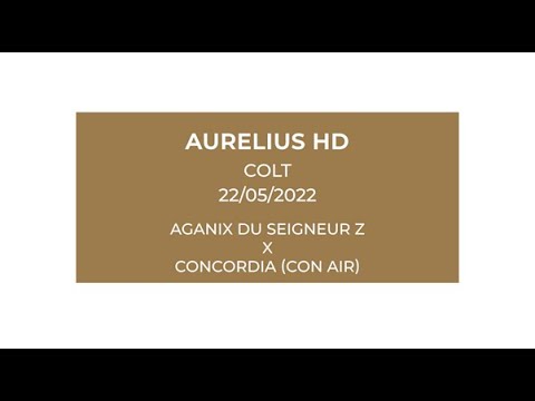 Aurelius HD