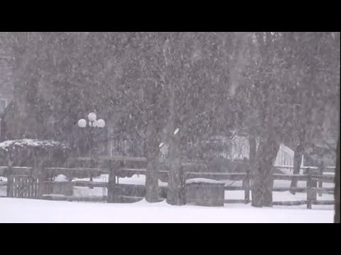 02-05-2021 North Wales, PA - Heavy Morning Snow