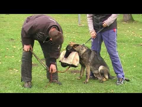 Mexx Aykmar  - 7 months