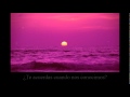 Sea of love - Robert Plant (subtitulada al español ...