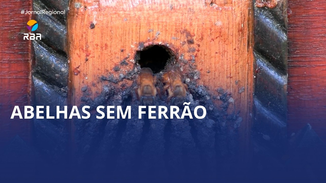 🍯 Tradição e sustentabilidade em Rio do Sul