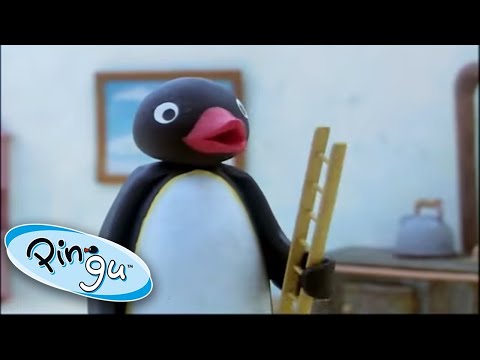 Pingu And The Ladder! @Pingu – Official Channel | 1 Hour | Cartoons for Kids - Kids (0-4), Kingdom Kids Zone - Pingu - Official Channel