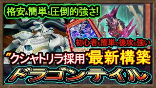 結論【ドラゴンテイル】クシャトリラ"で高みへ！格安で簡単で後攻も強い最強デッキ環境破壊展開【烙印】復帰&初心者オススメデッキ【#遊戯王マスターデュエル】実況