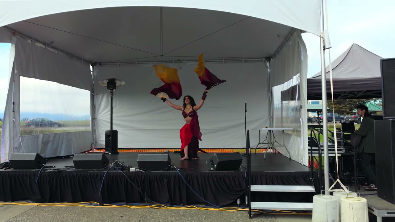 Promotional video thumbnail 3 for Alea Bellydance