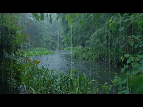 The beautiful little river is raining(7) , sleep, relax, meditate, ASMR, Real Shot