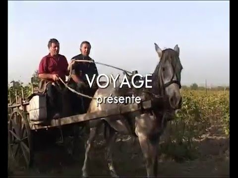 Route des Vins - Espagne - Le Rioja