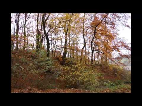 Herbst Melancholie von Reinwolf