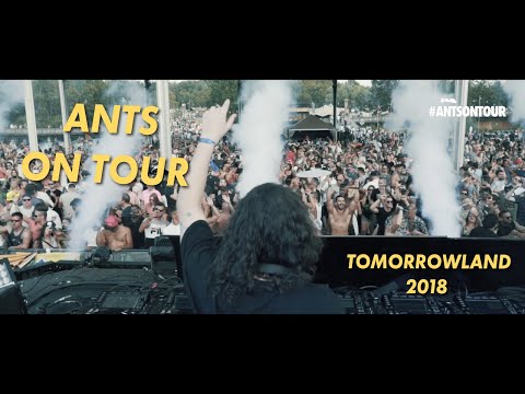 Ants on Tour - Tomorrowland 2018