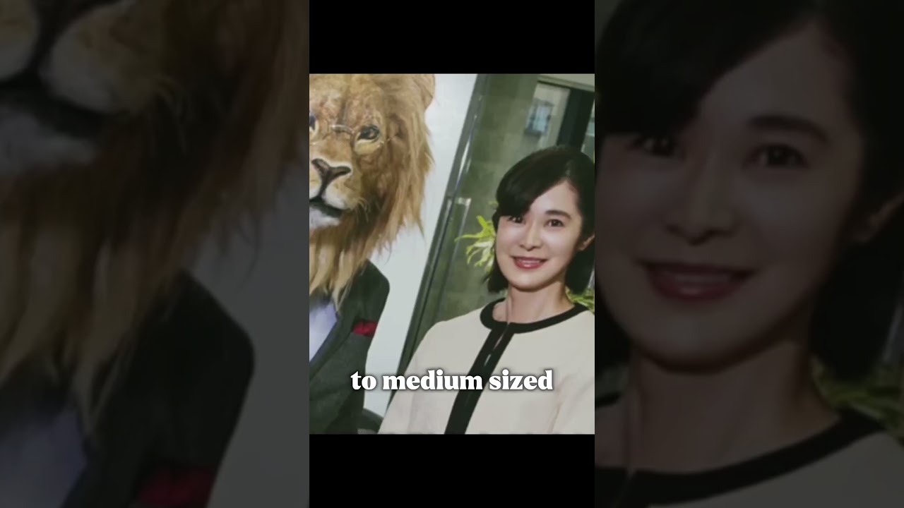 Japan’s Highest Paying Company